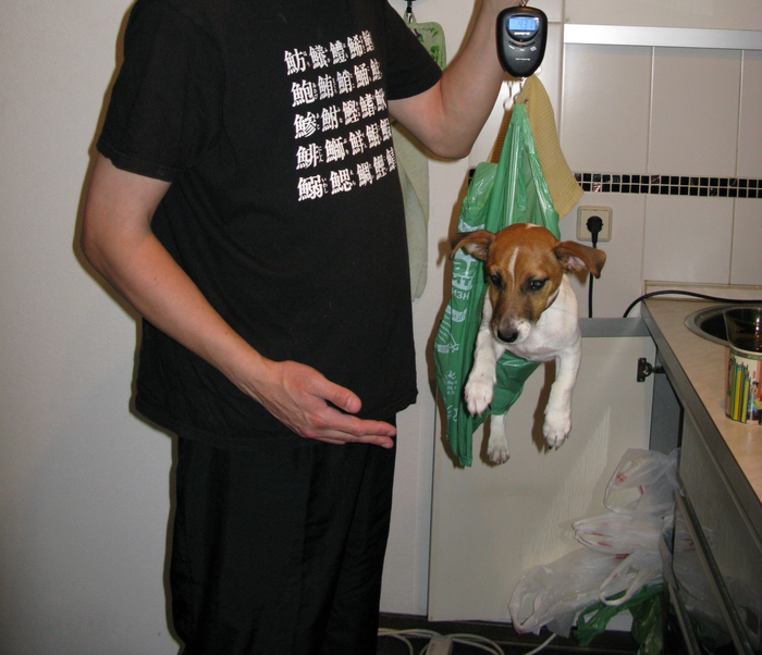 ������ ��� ����� ���� ��������. � ���� ��� ������� ������������ ���