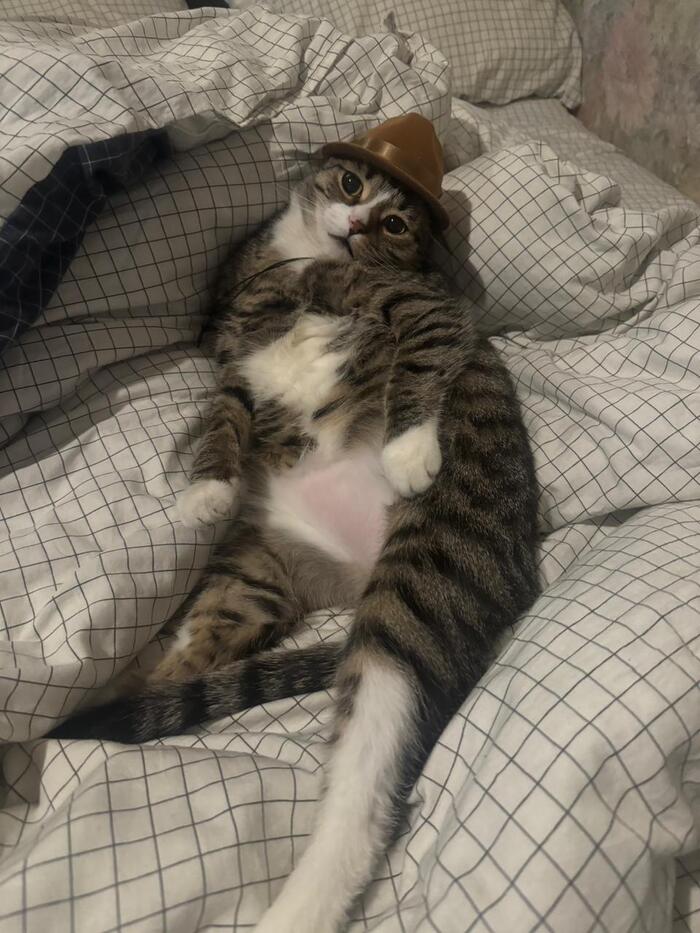    :    , , ,  , ,  ,   , 