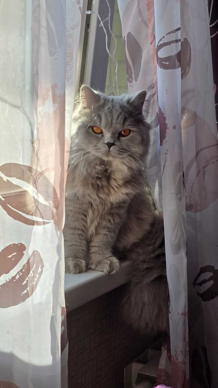    :    , , ,  , ,  ,   , 