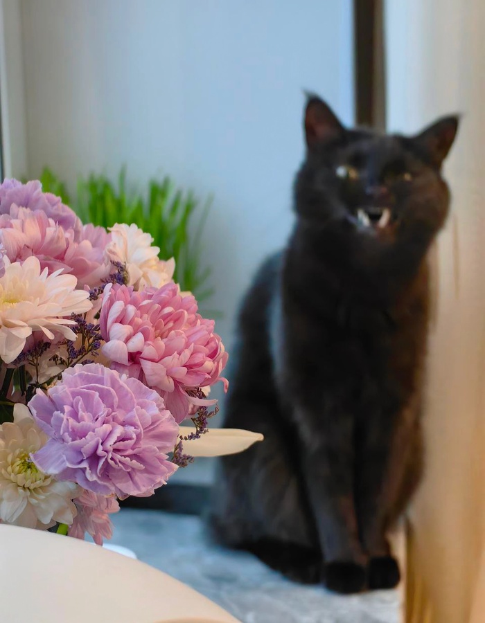 Пусть победит наикотейший!