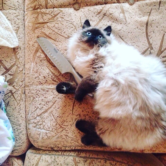 Тебе хана, кожанный!