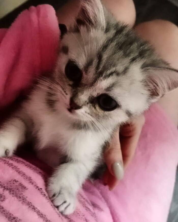 Хочу в конкурс. Даниэла. Или просто Даня