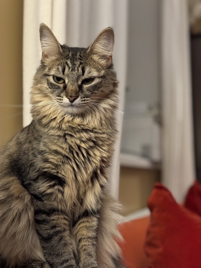 Ну и ешь сама свою еду!