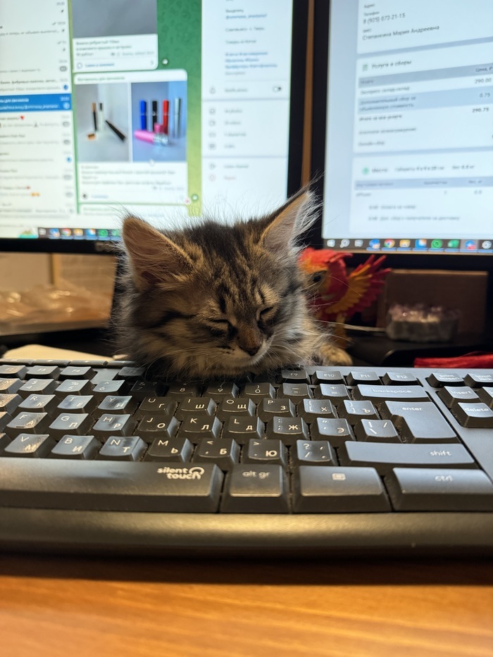 Создает рабочий настрой:)