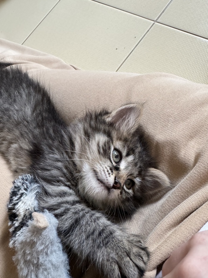 Только принесла ее домой, пока карантин