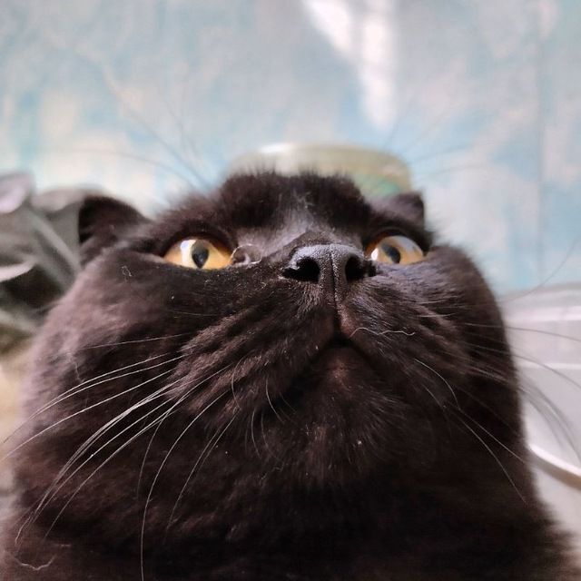    :    , , ,  , ,  ,   