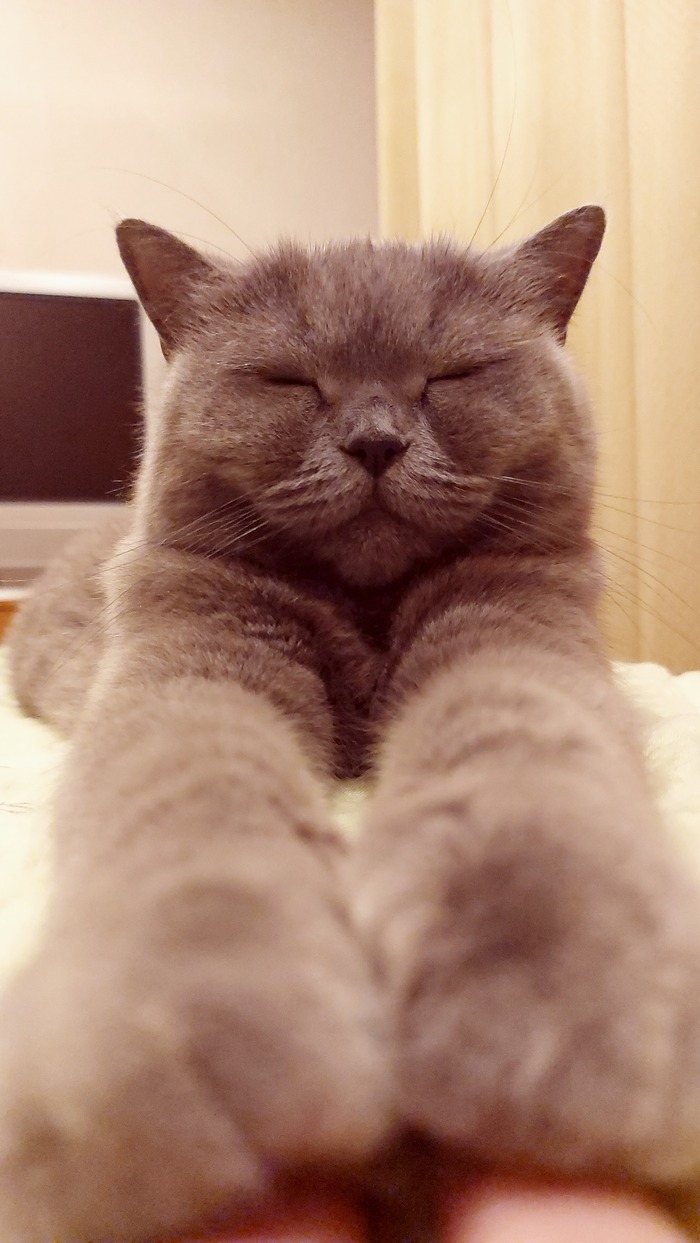 ����� �� ���� ��������: ������ ��� ������