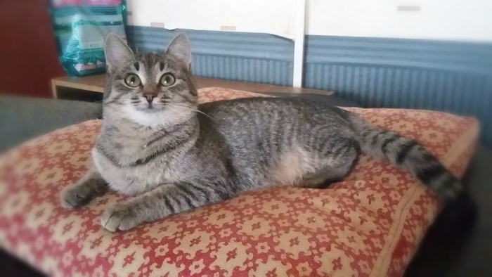 � ������