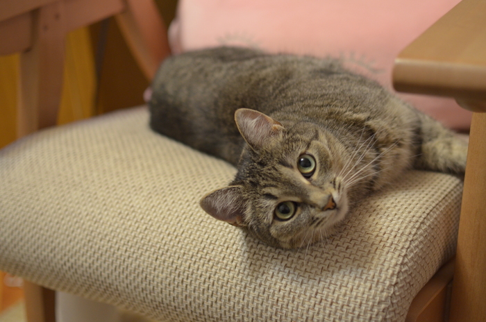 ����� 2024 ����