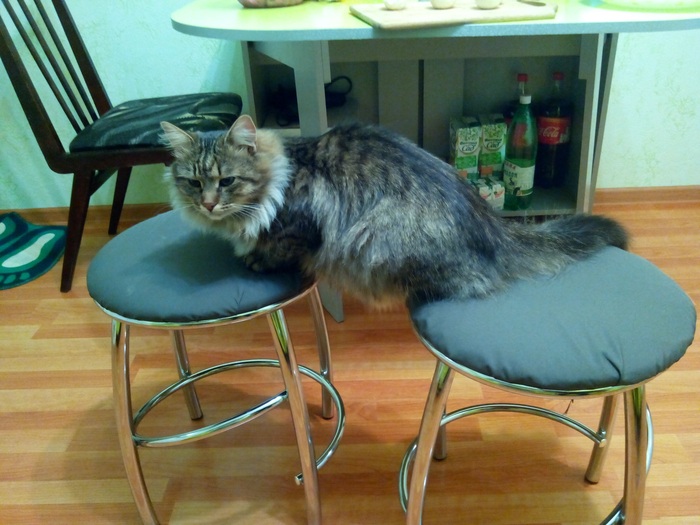 ����� �� ���� ��������: ������ ��� ������