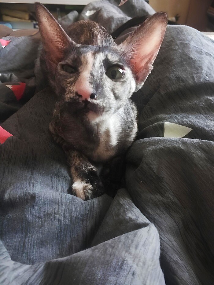 подозревает