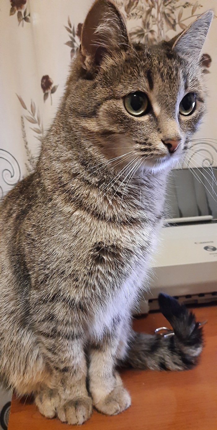 ����� 2021 ����