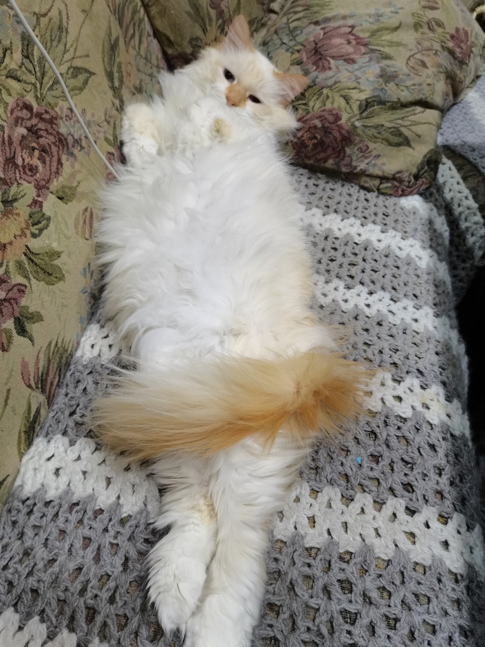 "Потому что так удобно"