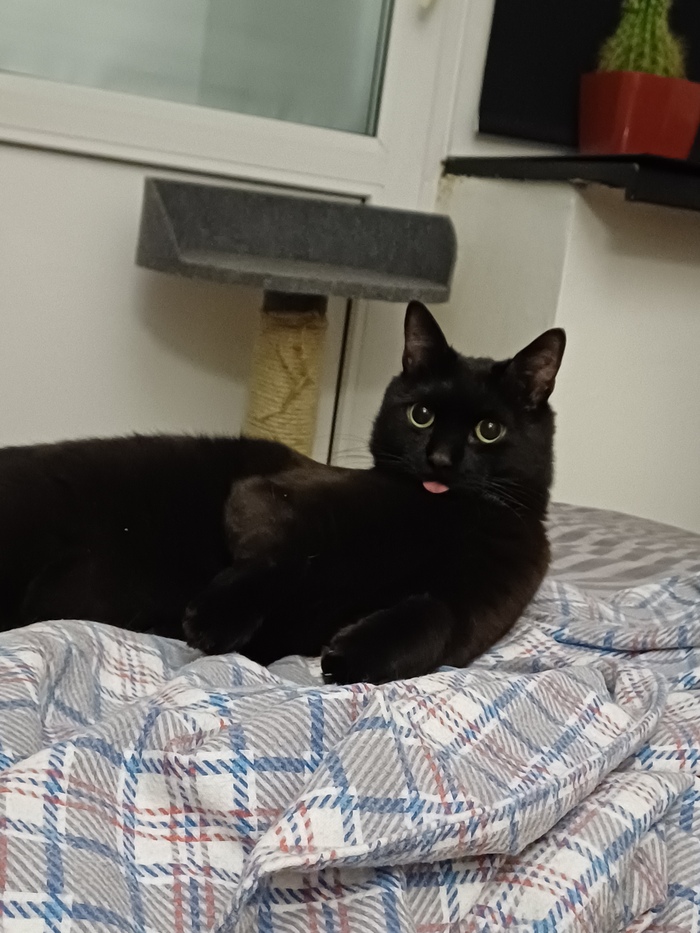    :    , , ,  , ,  ,   