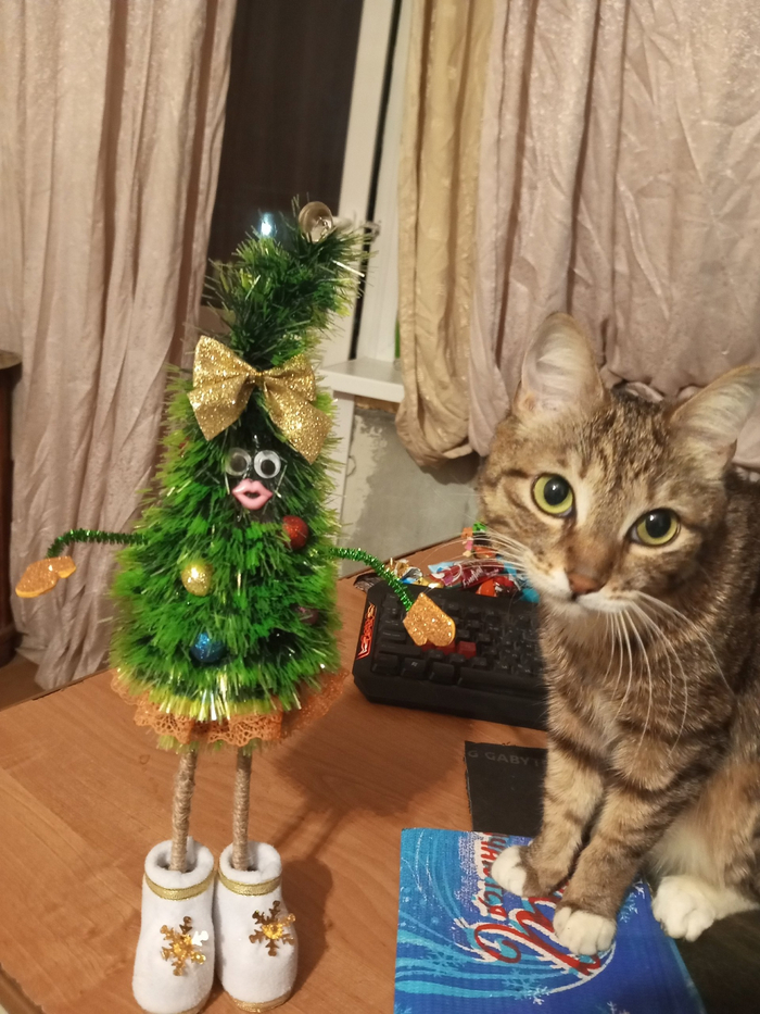 Ответ на пост «Конкурс: лучший кот Пикабу»