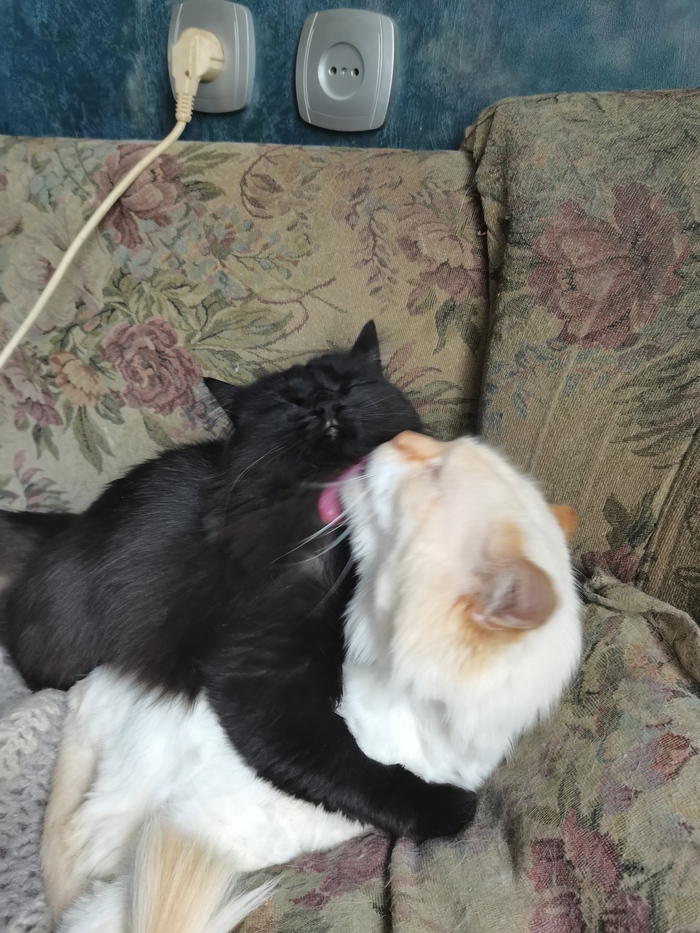 "Да что ж ты белой не становишься? Отмывать и отмывать ещё!"