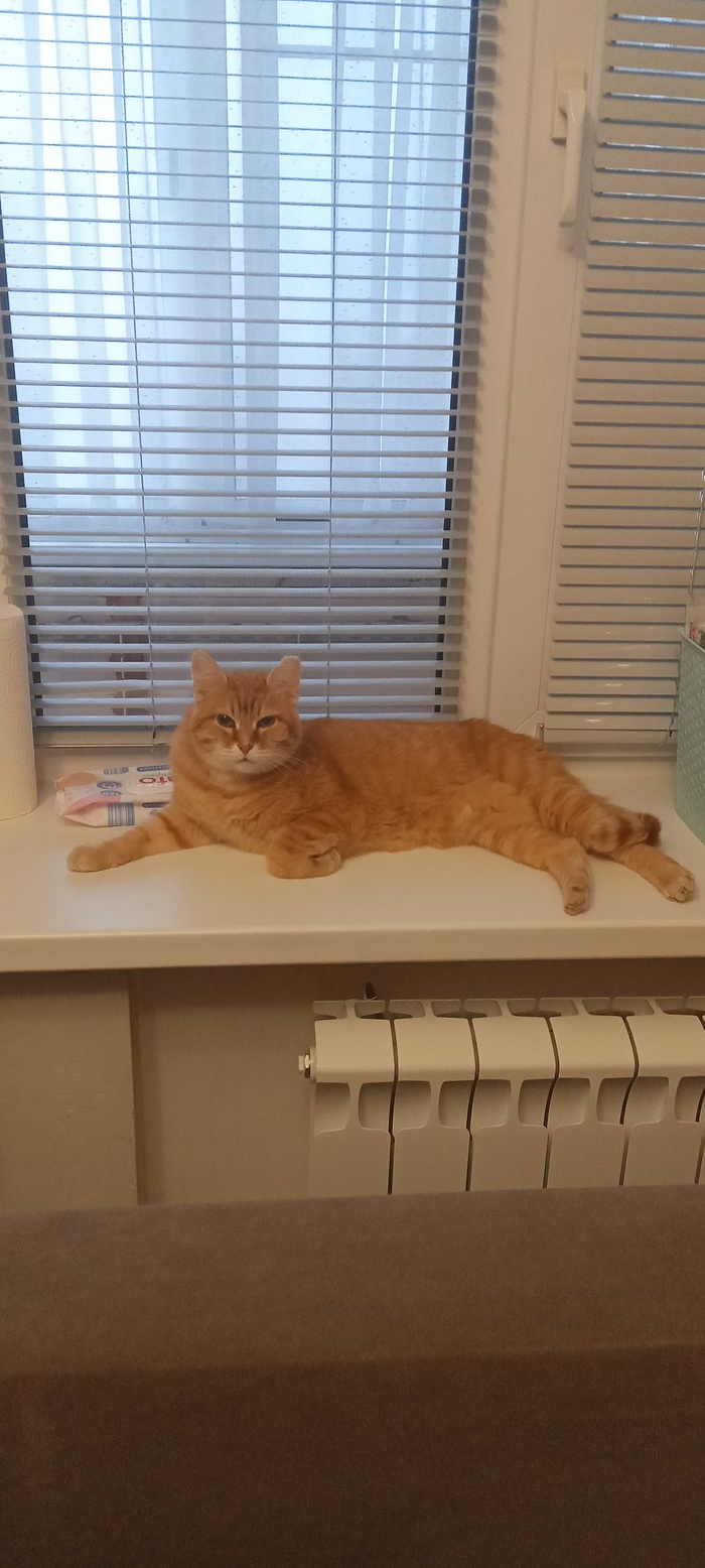 ����� �� ���� ��������: ������ ��� ������