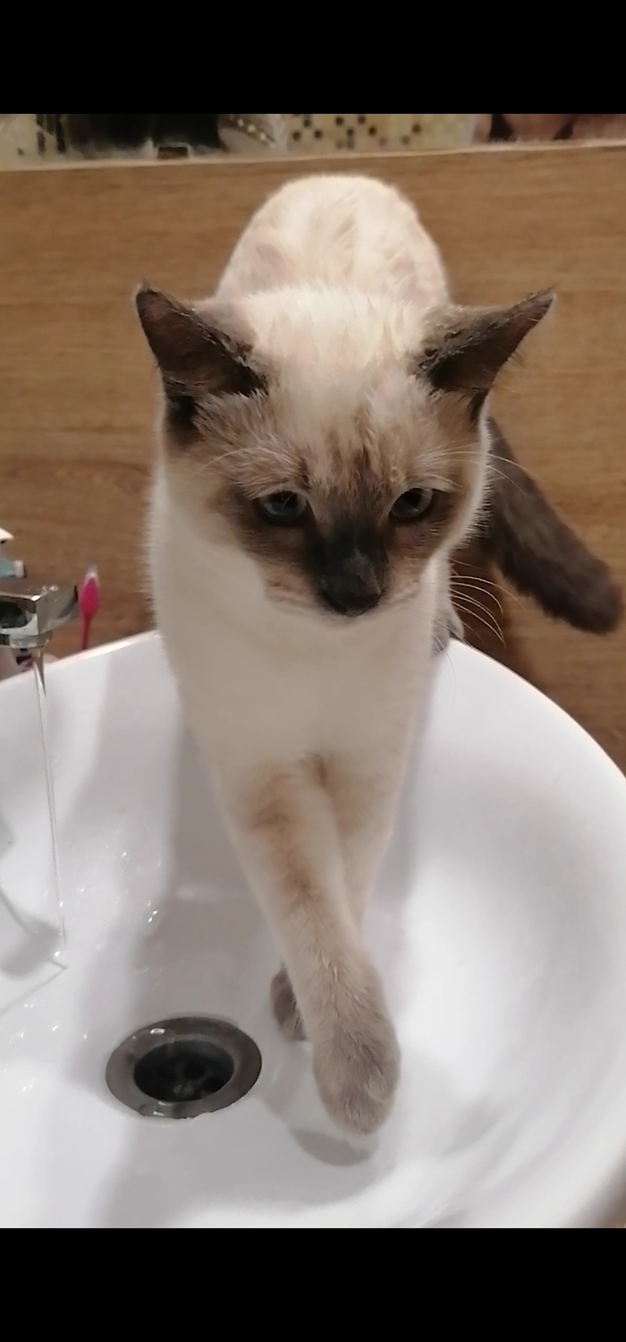 Инспектор в ванной. Без него нельзя.