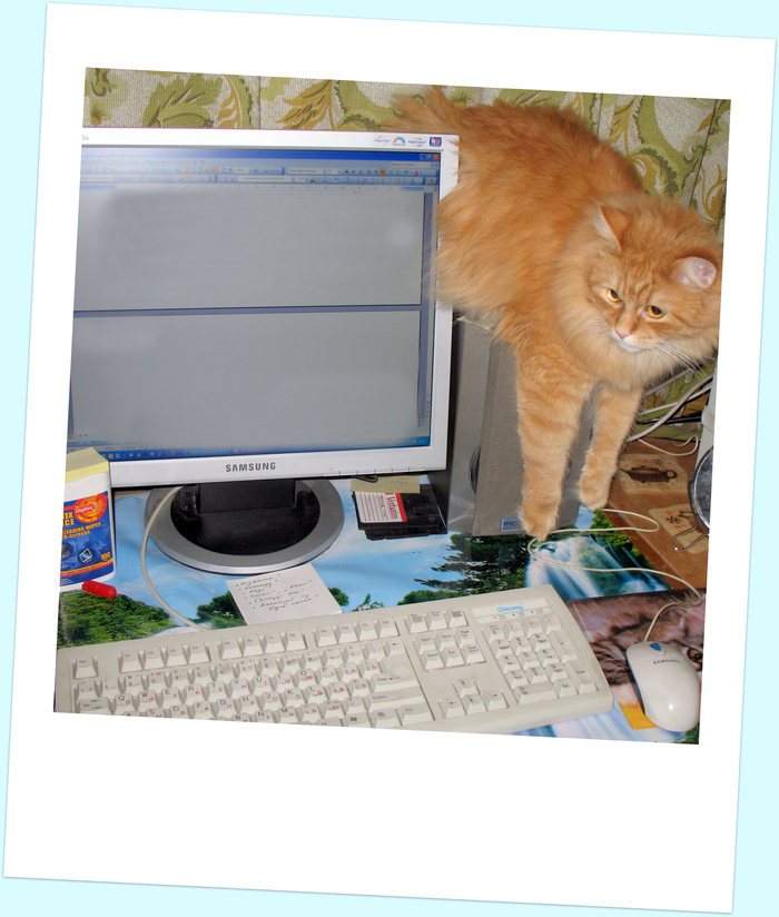 Любимое место на микролабовской колонке рядом с теплым системником. Даже когда перестал помещаться габаритами