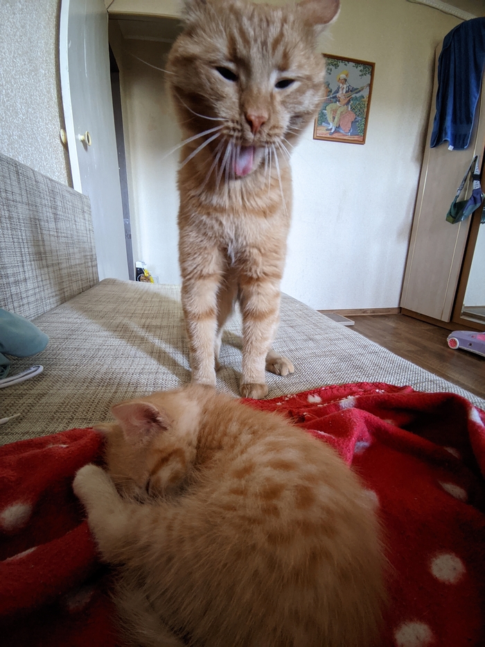 ����� �� ���� ��������: ������ ��� ������