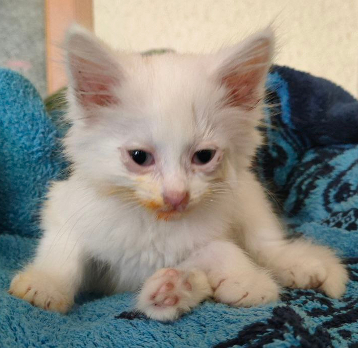 �� ��� �������, ���� ��������...