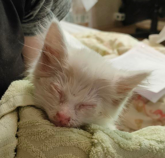 �� �� ������ �� �����������...