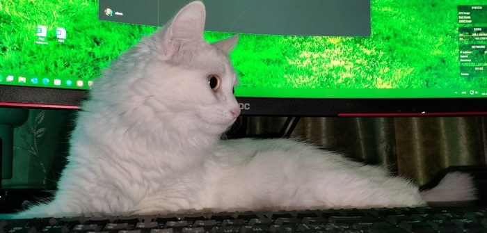 ������� ����� ������...