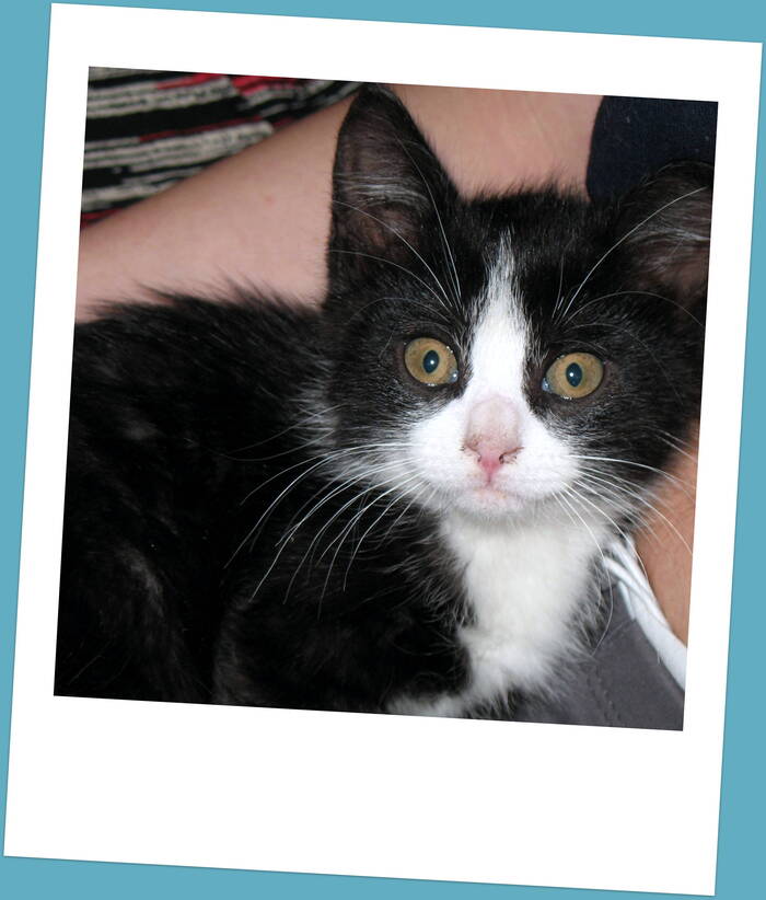 Только-только принесенный...