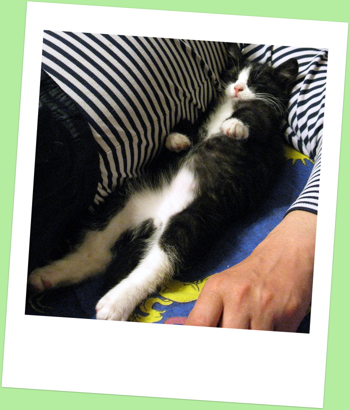 Сразу понял кто здесь хозяин