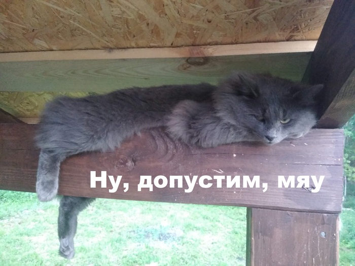 ���� ������� ���. ����������, �� ����� � ������ ��������