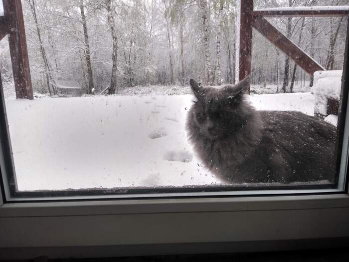 �������, �� ������ ����? ���, � �����, �� �������. ���: �����!