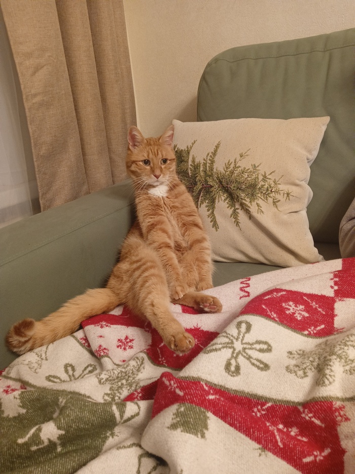 ����� �� ���� ��������: ������ ��� ������