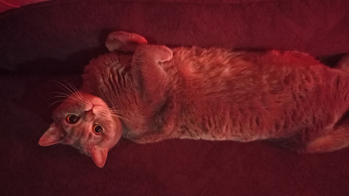 ����� �� ���� ��������: ������ ��� ������