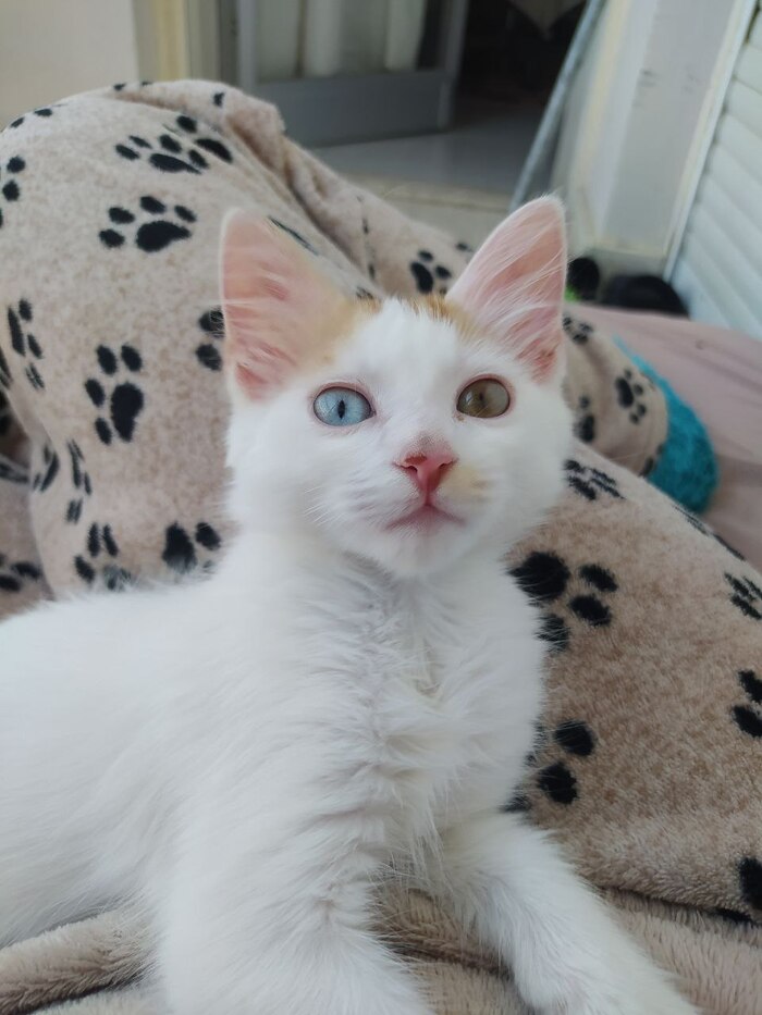 ���������, ���� ��������� �� ������� ���� �������� ��� ������, ��� � �������� �������