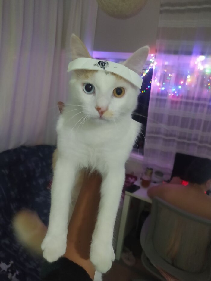 �����-������