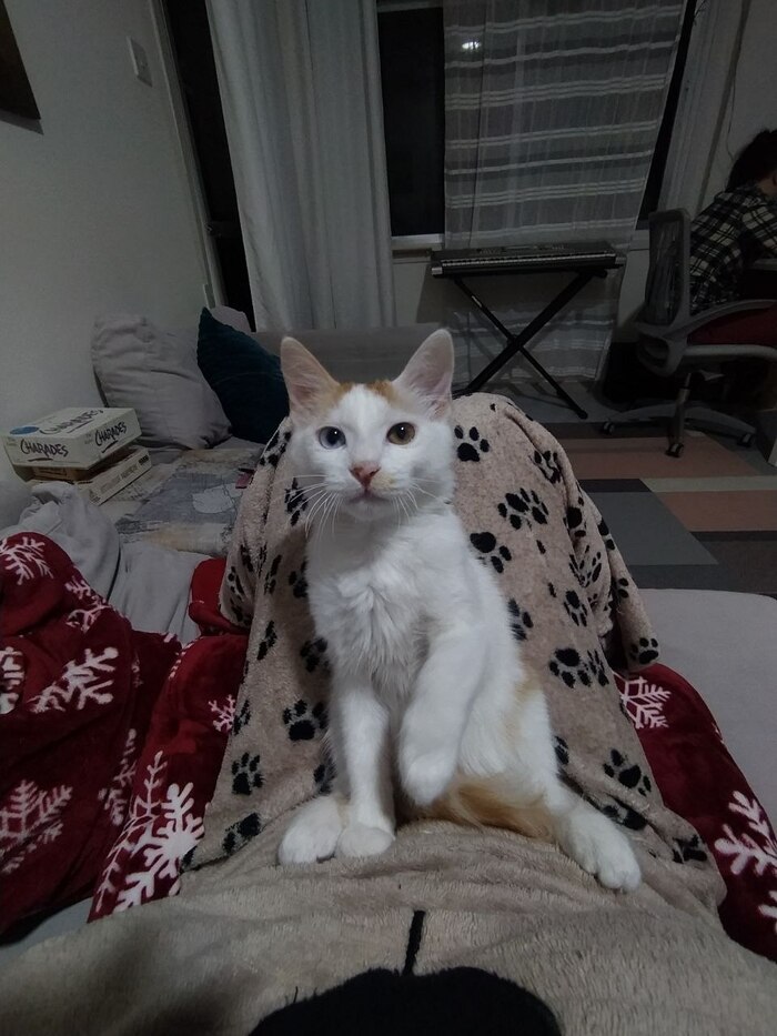 ����� ��� �����