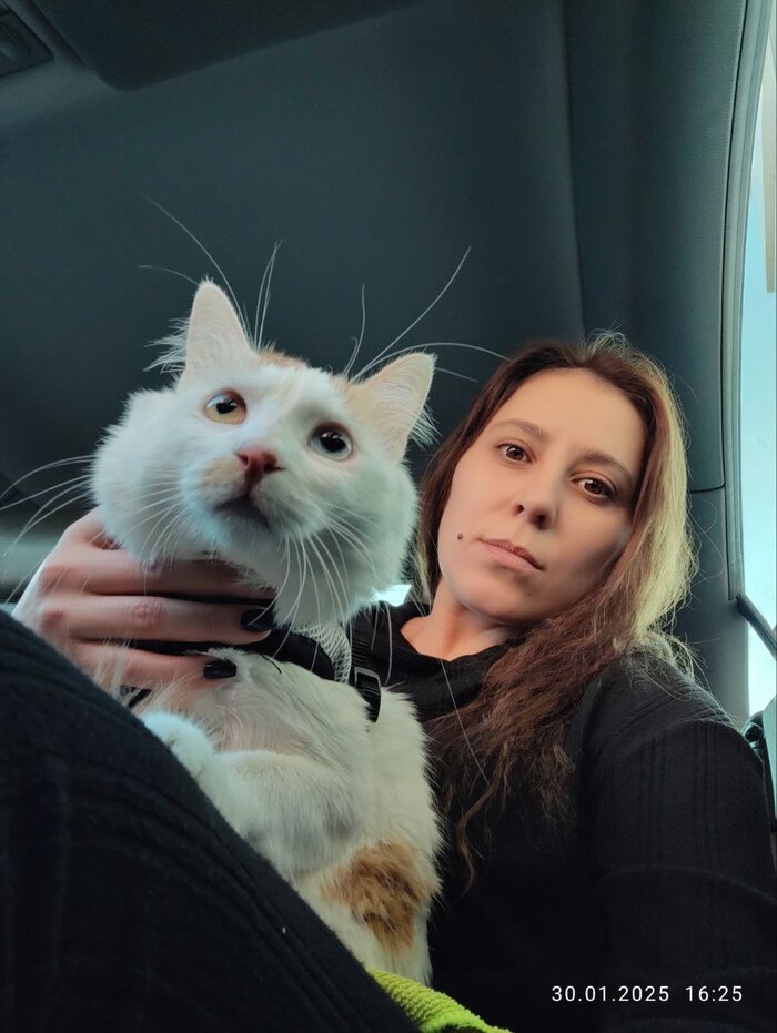 ����� ��������� 