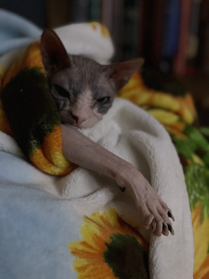    :    , , ,  , ,  ,  ,   , 