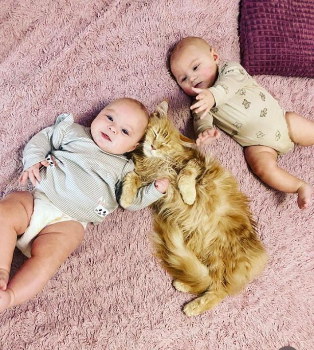 ����� �� ���� ��������: ������ ���������