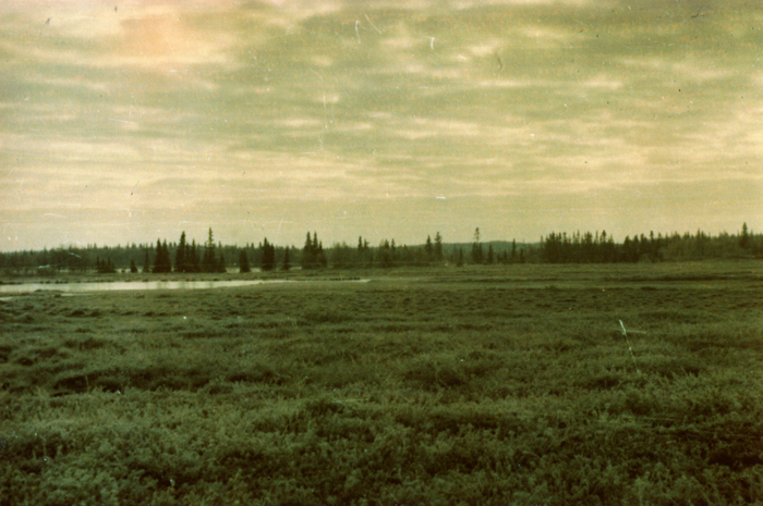 1990 .   .  4 ,  , -, , , , , , ,   , , 