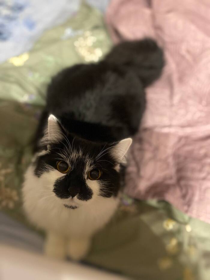 ��� ������ ��������� � ��������