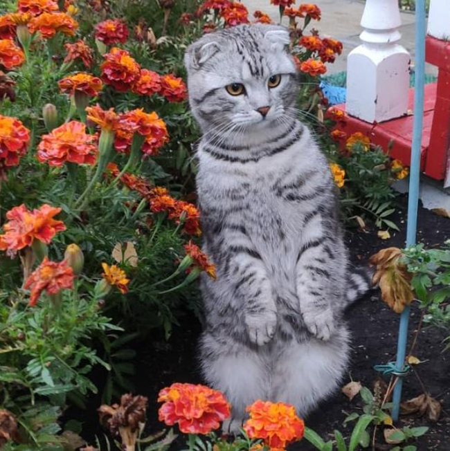 Мальчик Яша, 5 лет