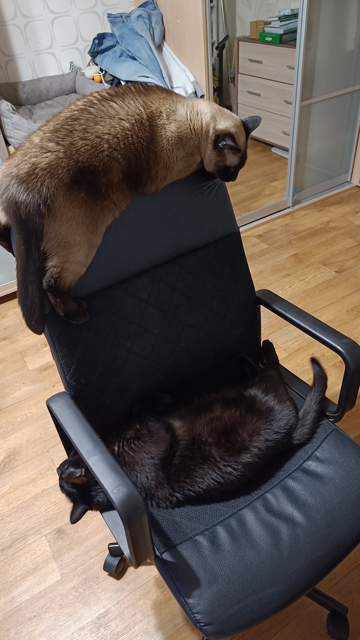    :     ,   ,  , , , , , 