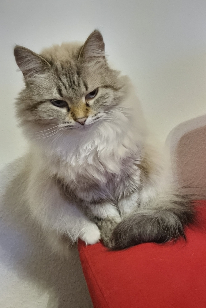 Пришлось себя обрезать чтобы не портить фото