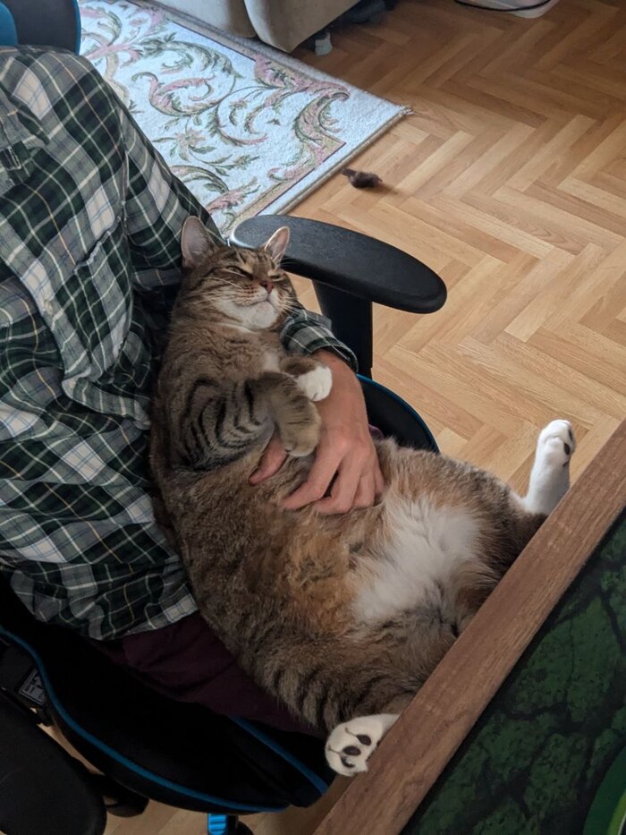 Кость пушистая