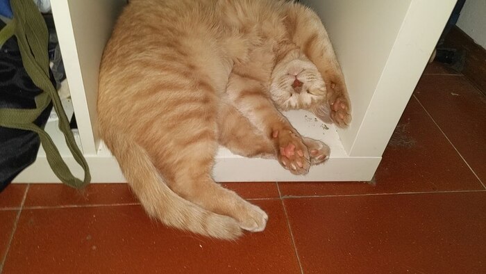    !          ,      - !