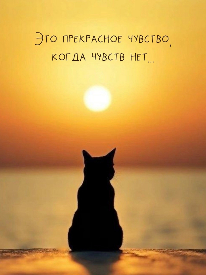,    , , 