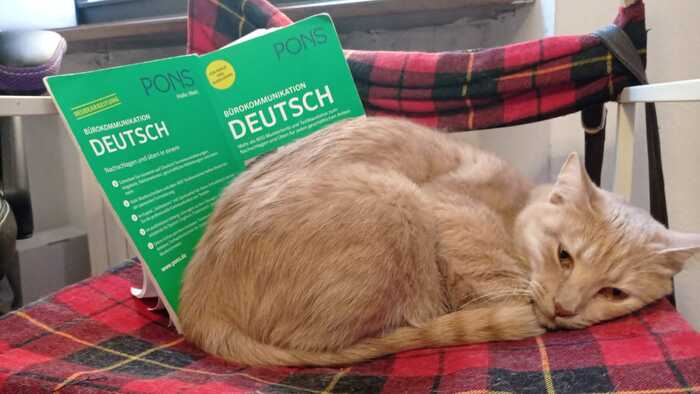      !  " ,  , !"      :  , , .