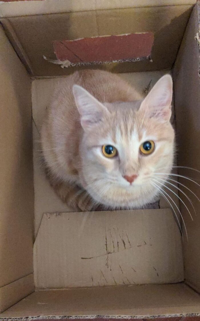 ,      !   ,       !