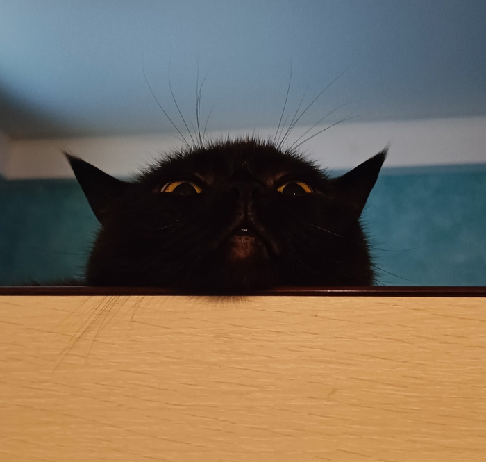    :    , , ,  , ,  ,   , 